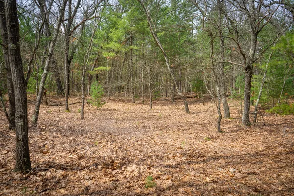 $85,200 | V/l West Holton Whitehall Road, Unit 2 13 A M/L, Whitehall, MI 49461