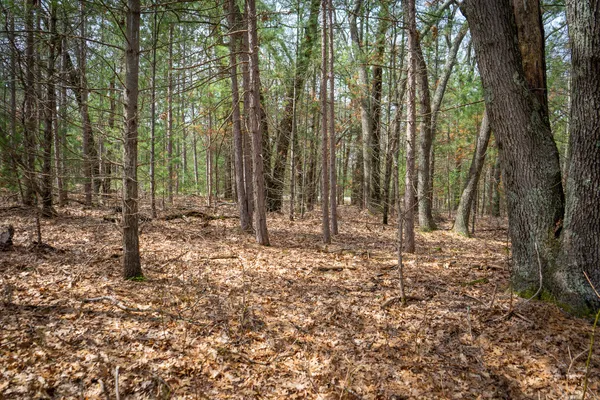 $85,200 | V/l West Holton Whitehall Road, Unit 2 13 A M/L, Whitehall, MI 49461