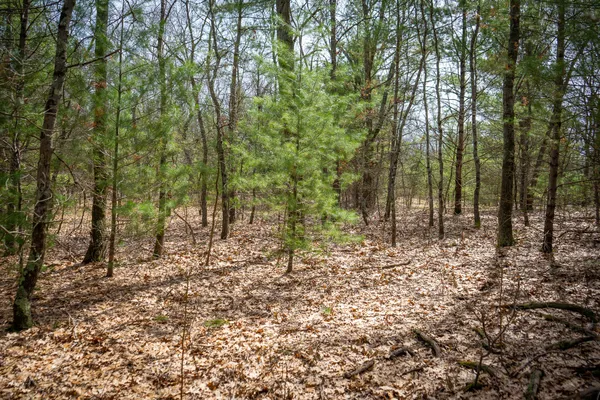 $85,200 | V/l West Holton Whitehall Road, Unit 2 13 A M/L, Whitehall, MI 49461