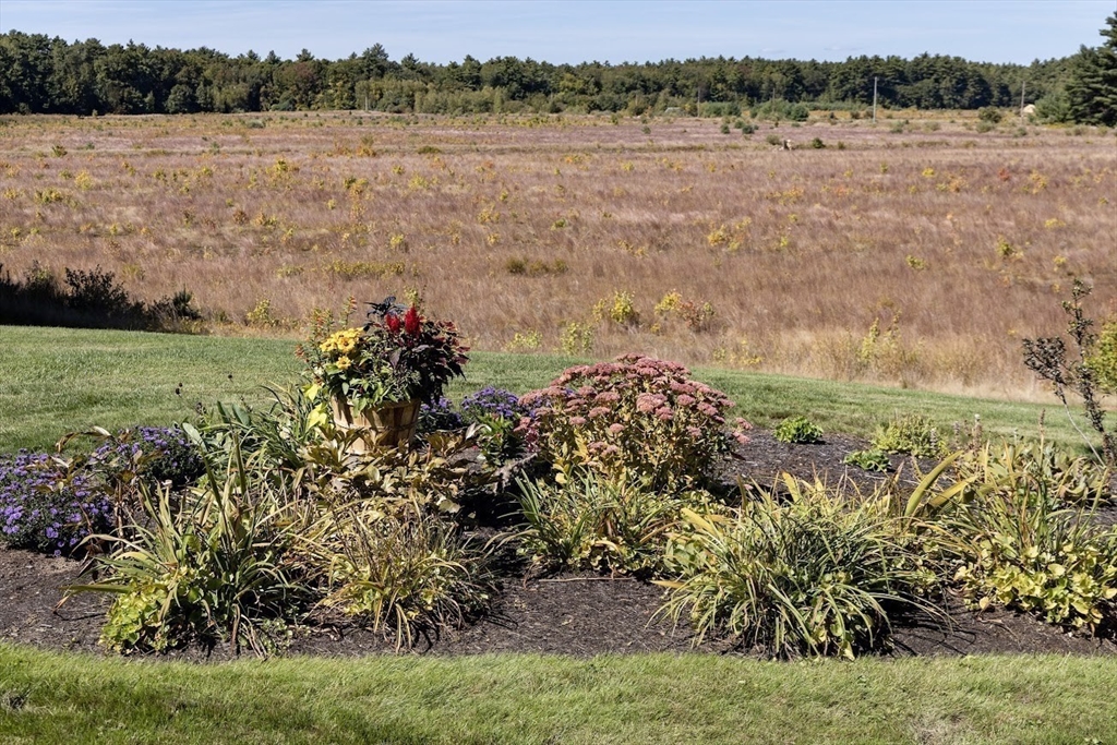 25 Dukes Brook Road Plympton, MA 02367 - Photo 5 of 35