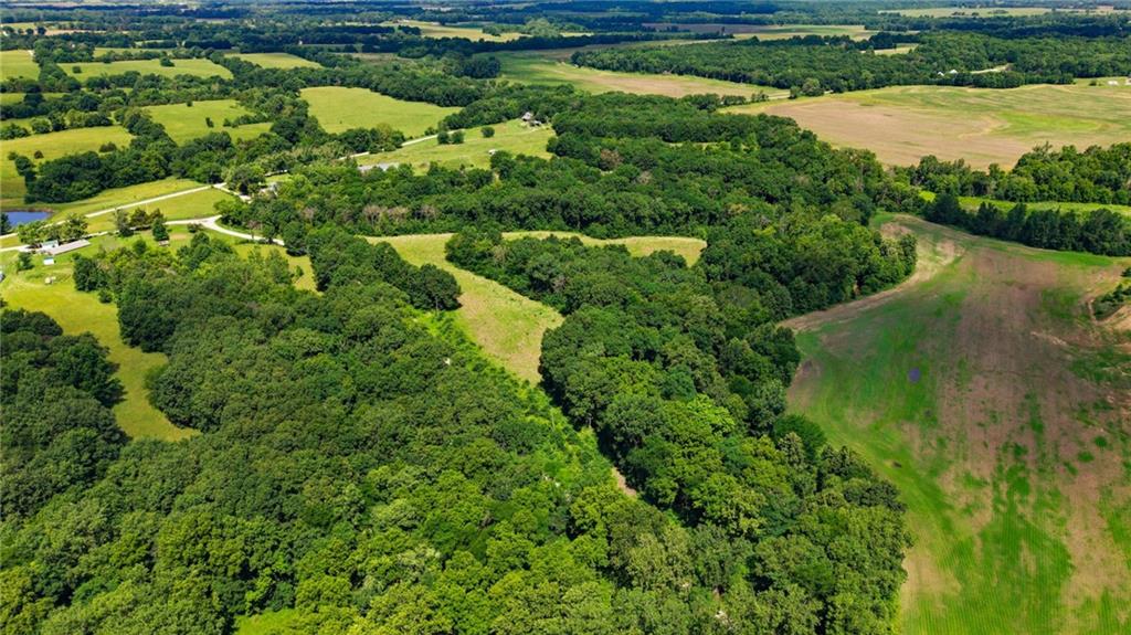 Faulk Road Purdin, MO 64674 - Photo 12 of 14