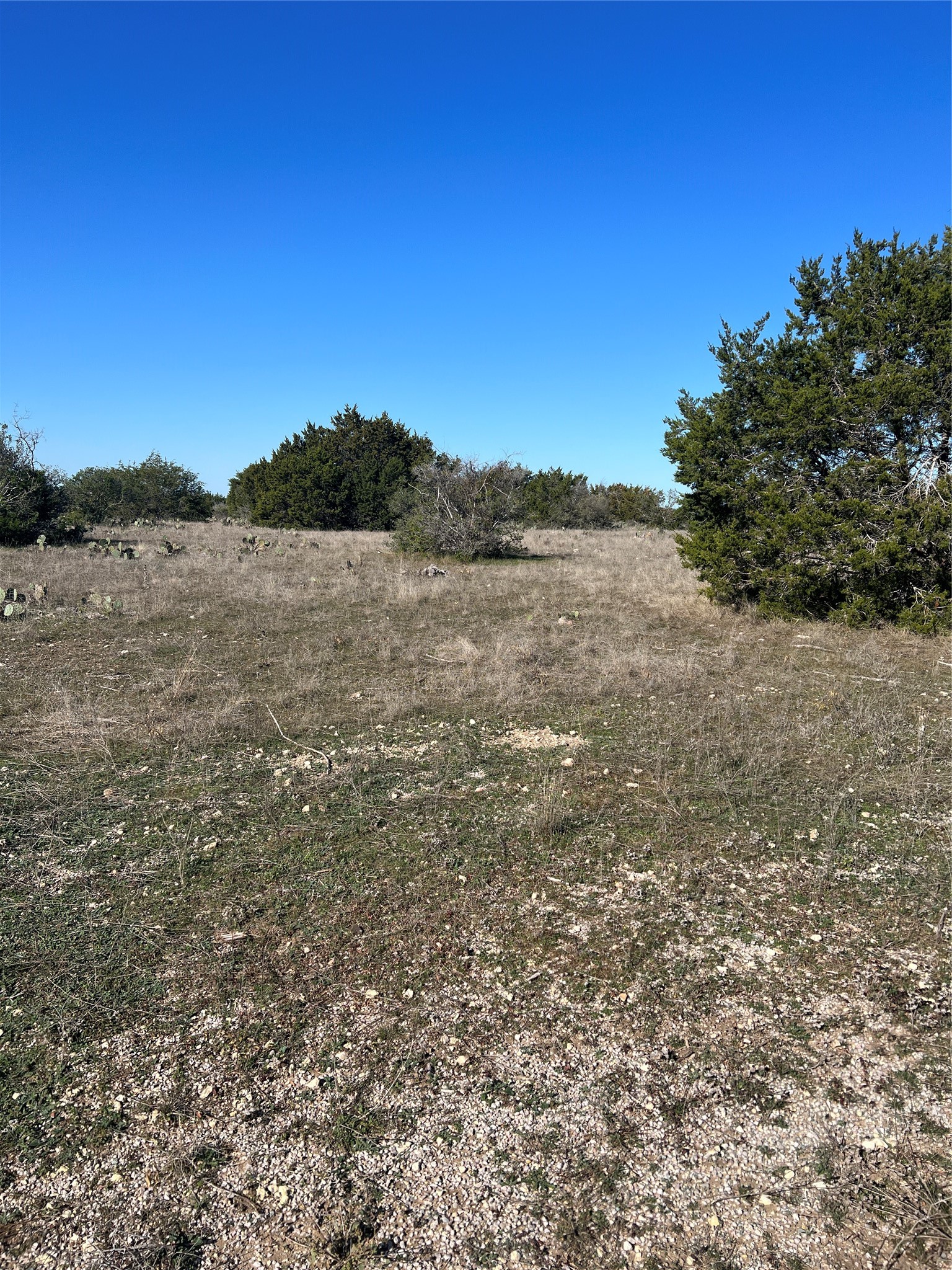 Lot 138 High Point Drive Kempner, TX 76539 - Photo 14 of 17 a view of lake with mountain