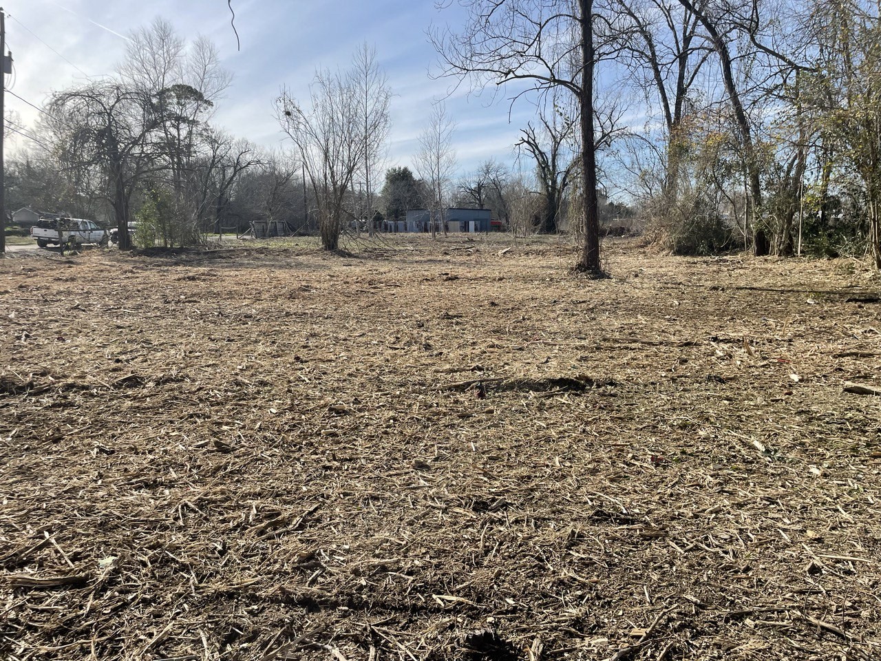 202 Leago Street Houston, TX 77022 - Photo 2 of 4 a view of a yard with trees