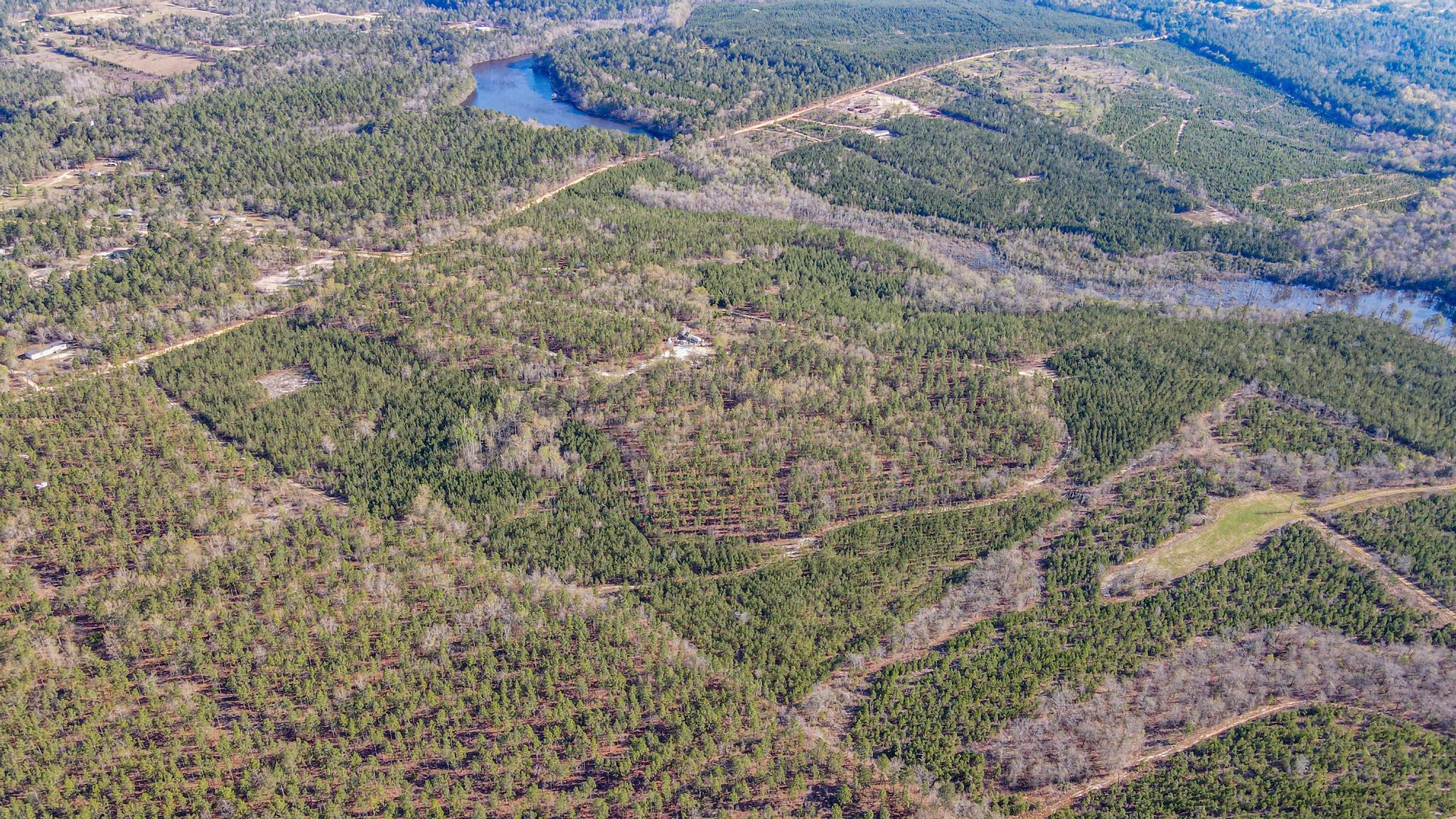 828 Hutto Pond Road Aiken, SC 29805 - Photo 8 of 10