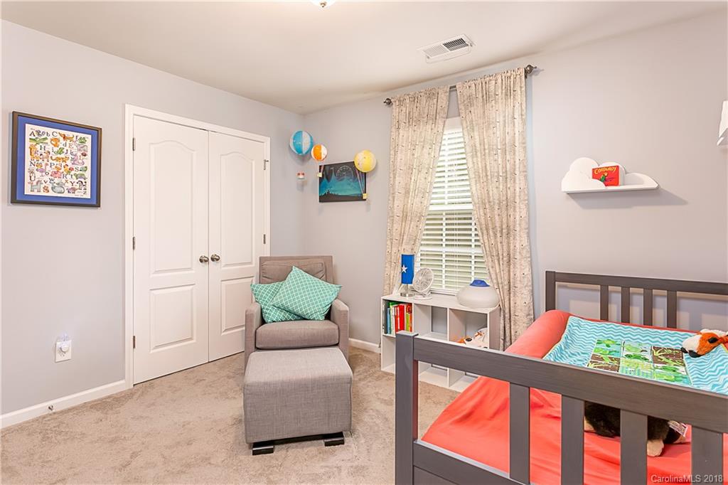10678 Sapphire Trail Davidson, NC 28036 - Photo 28 of 29 Gallery Image 28