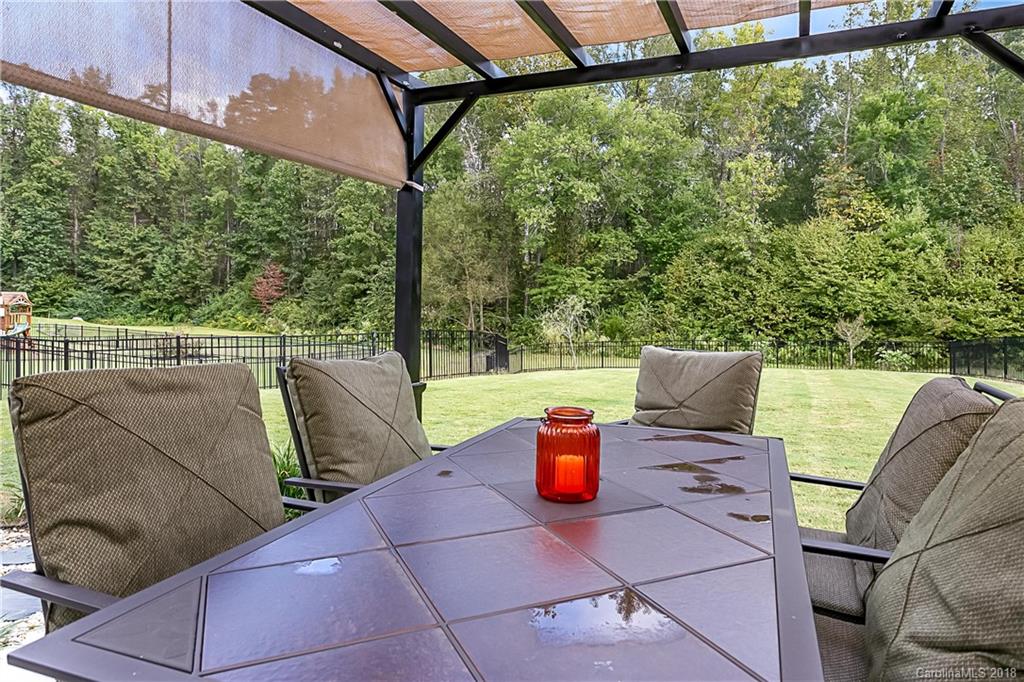 10678 Sapphire Trail Davidson, NC 28036 - Photo 5 of 29 Gallery Image 5