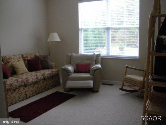 36 Sandy Branch Drive Selbyville, DE 19975 - Photo 18 of 24 Gallery Image 18