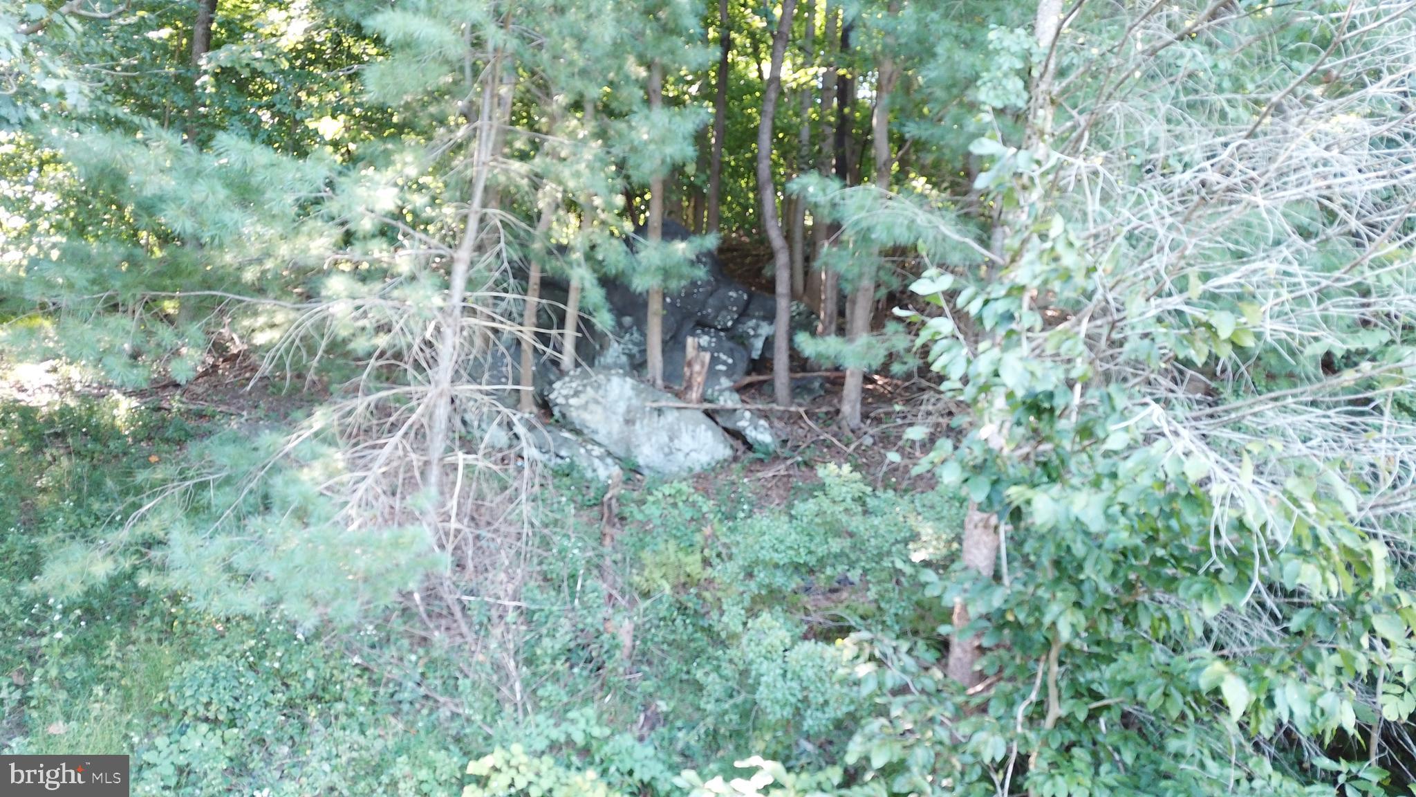 43 New Road Aston, PA 19014 - Photo 15 of 22