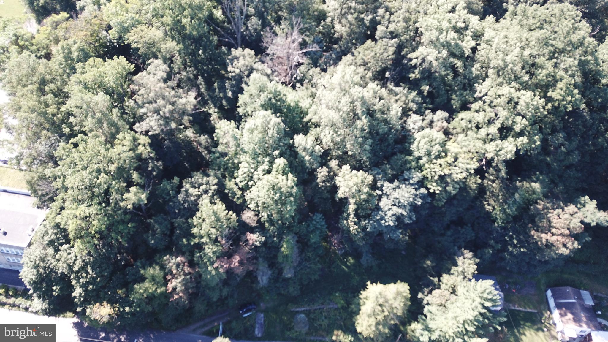 43 New Road Aston, PA 19014 - Photo 9 of 22
