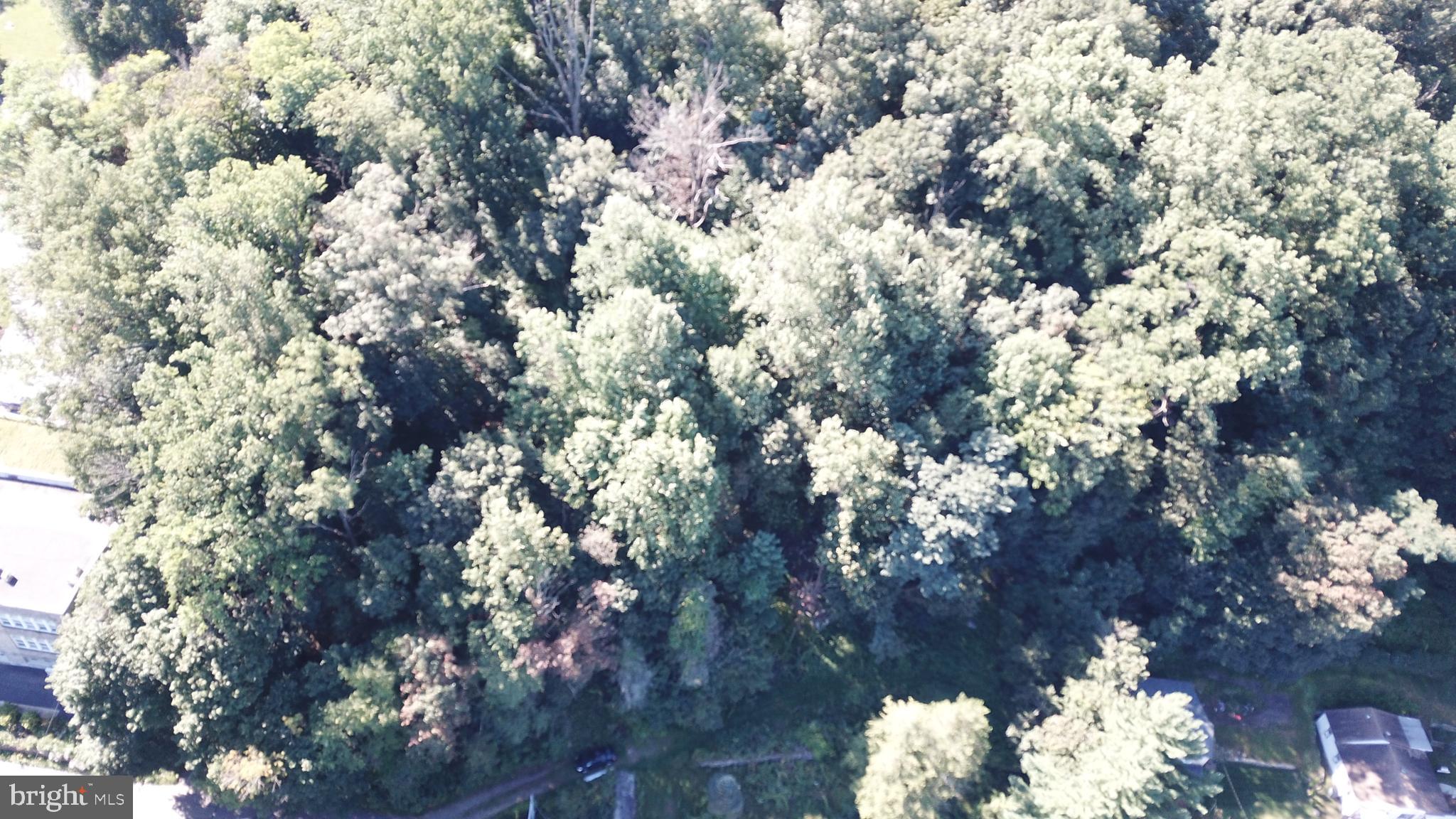 43 New Road Aston, PA 19014 - Photo 10 of 22