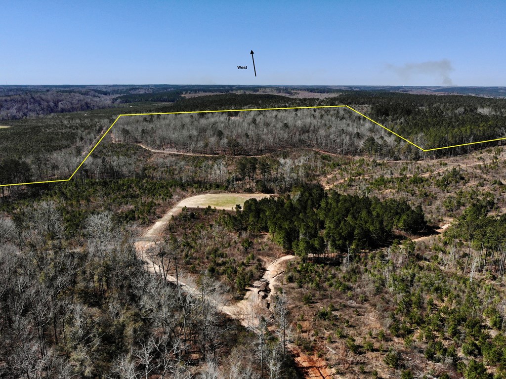 0 County Road 97 Abbeville, AL 36310 - Photo 13 of 53