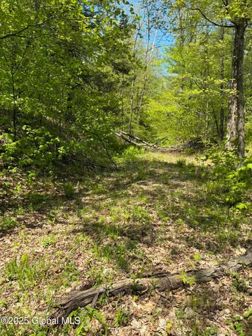 $465,000 | 5 & I90 Canaan Ny 12060, East Chatham, NY 12060