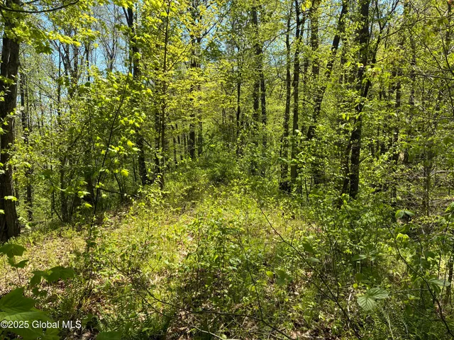 $465,000 | 5 & I90 Canaan Ny 12060, East Chatham, NY 12060