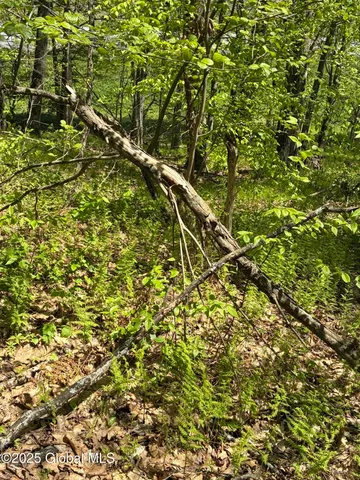 $465,000 | 5 & I90 Canaan Ny 12060, East Chatham, NY 12060