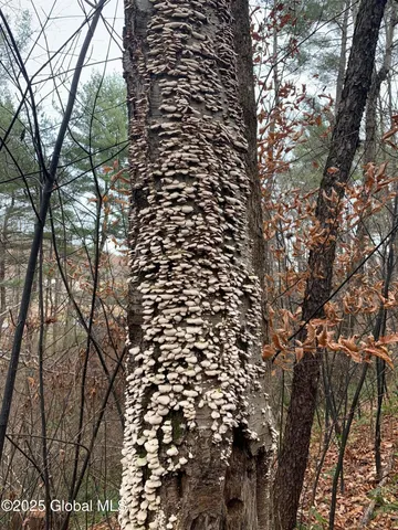 $465,000 | 5 & I90 Canaan Ny 12060, East Chatham, NY 12060