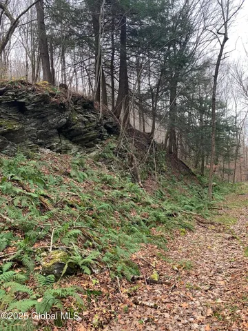 $465,000 | 5 & I90 Canaan Ny 12060, East Chatham, NY 12060