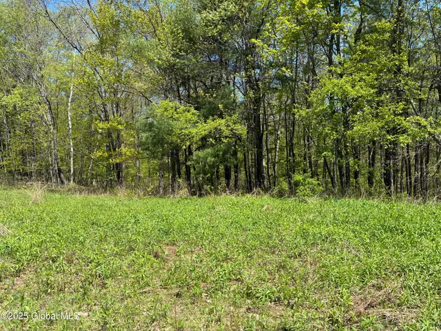 $465,000 | 5 & I90 Canaan Ny 12060, East Chatham, NY 12060