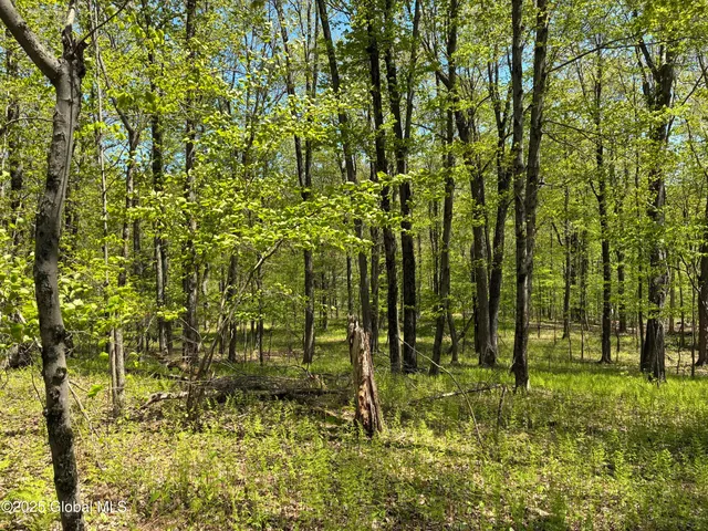 $465,000 | 5 & I90 Canaan Ny 12060, East Chatham, NY 12060