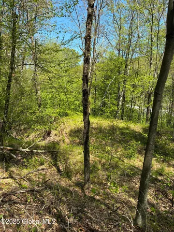 $465,000 | 5 & I90 Canaan Ny 12060, East Chatham, NY 12060