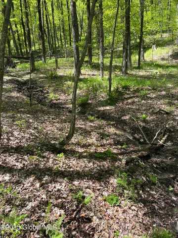 $465,000 | 5 & I90 Canaan Ny 12060, East Chatham, NY 12060