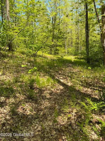 $465,000 | 5 & I90 Canaan Ny 12060, East Chatham, NY 12060