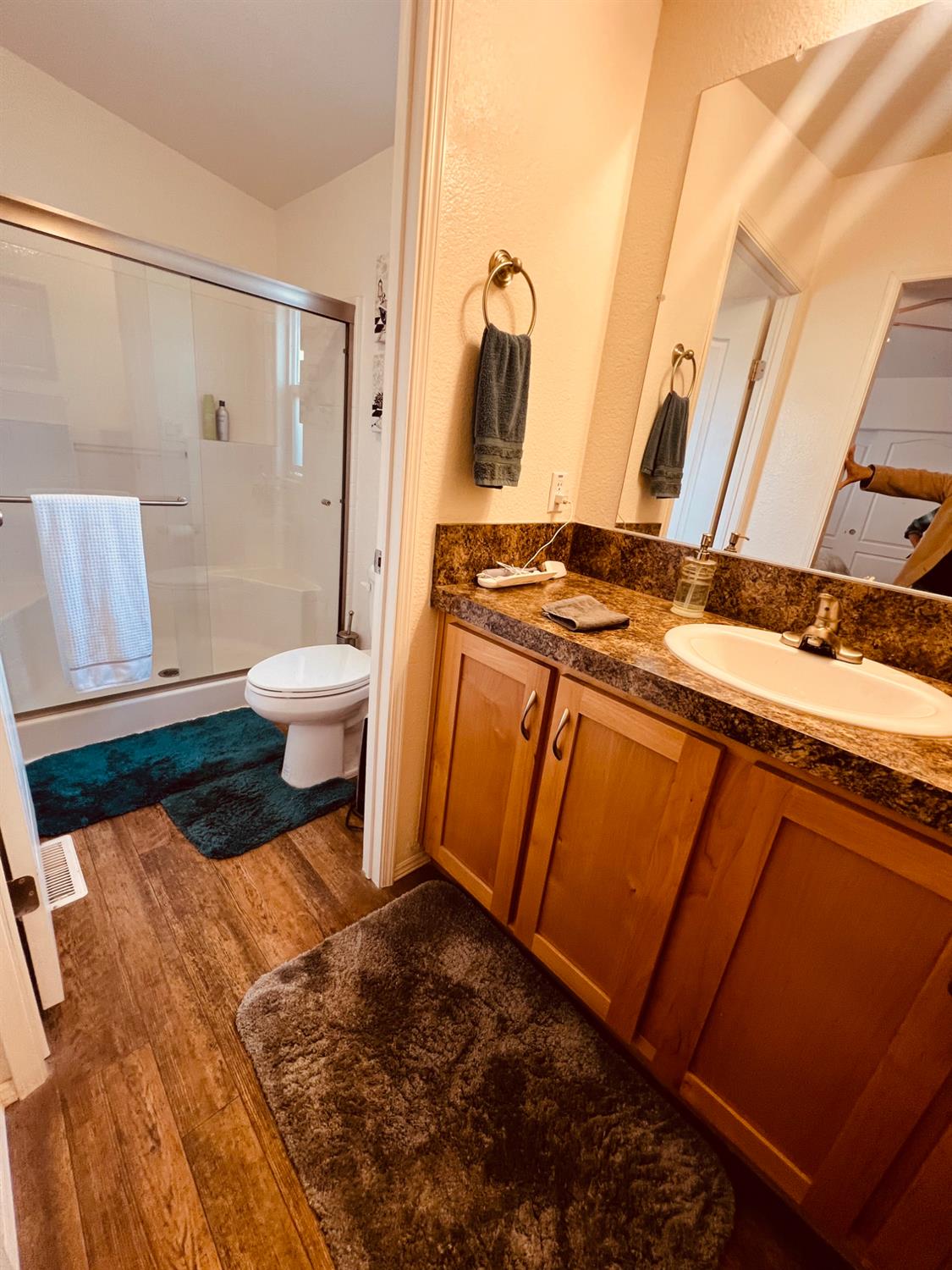 195 Schooner Lane Modesto, CA 95356 - Photo 15 of 24 a bathroom with a sink and a toilet