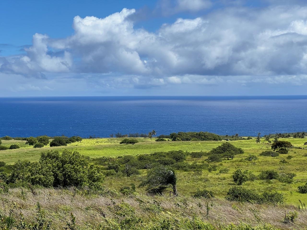 0 Lower Ulumalu Road Haiku, HI 96708 - Photo 12 of 20 a view of a big yard with an outdoor space