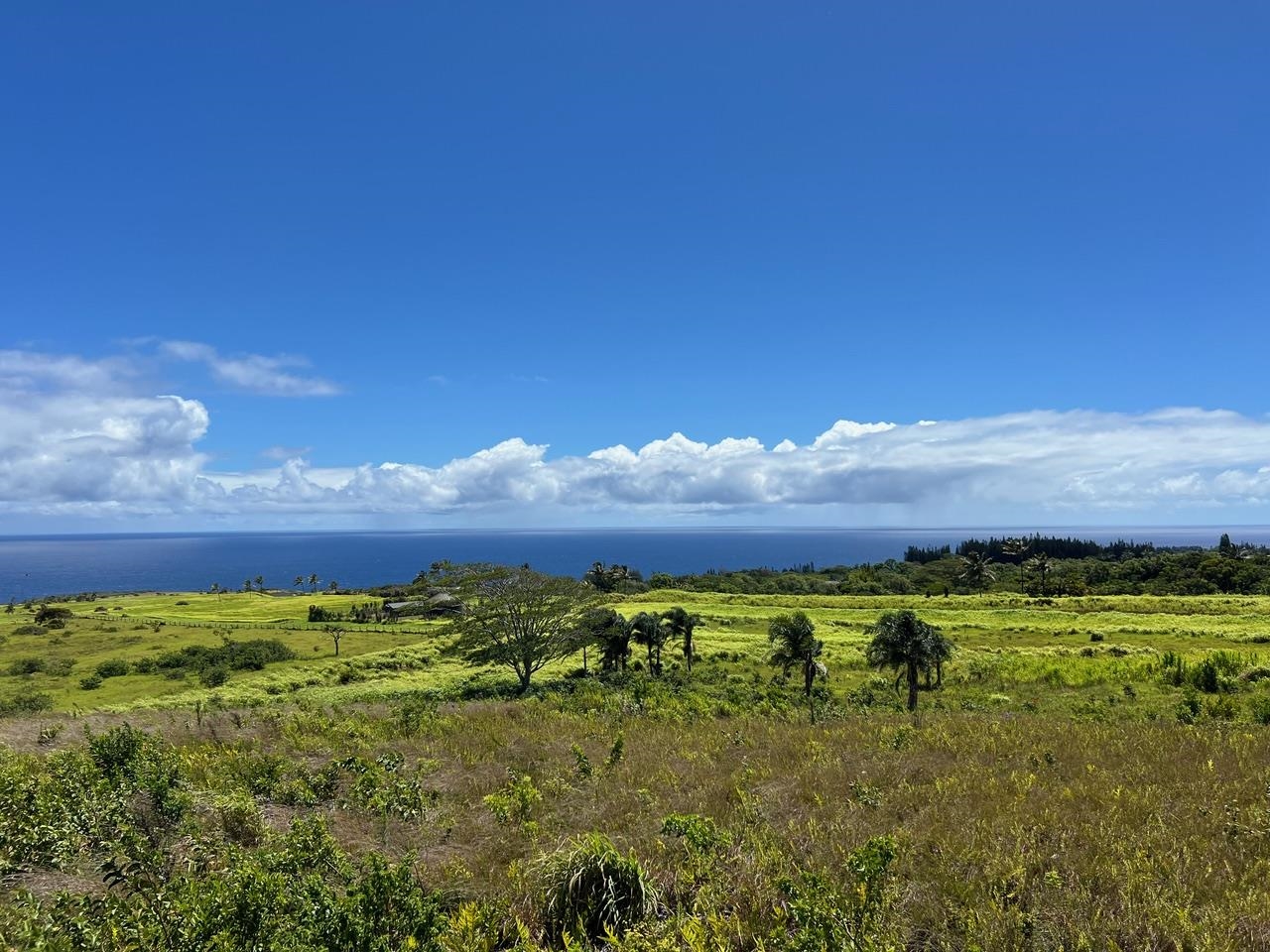 0 Lower Ulumalu Road Haiku, HI 96708 - Photo 8 of 20 a view of an ocean from a yard
