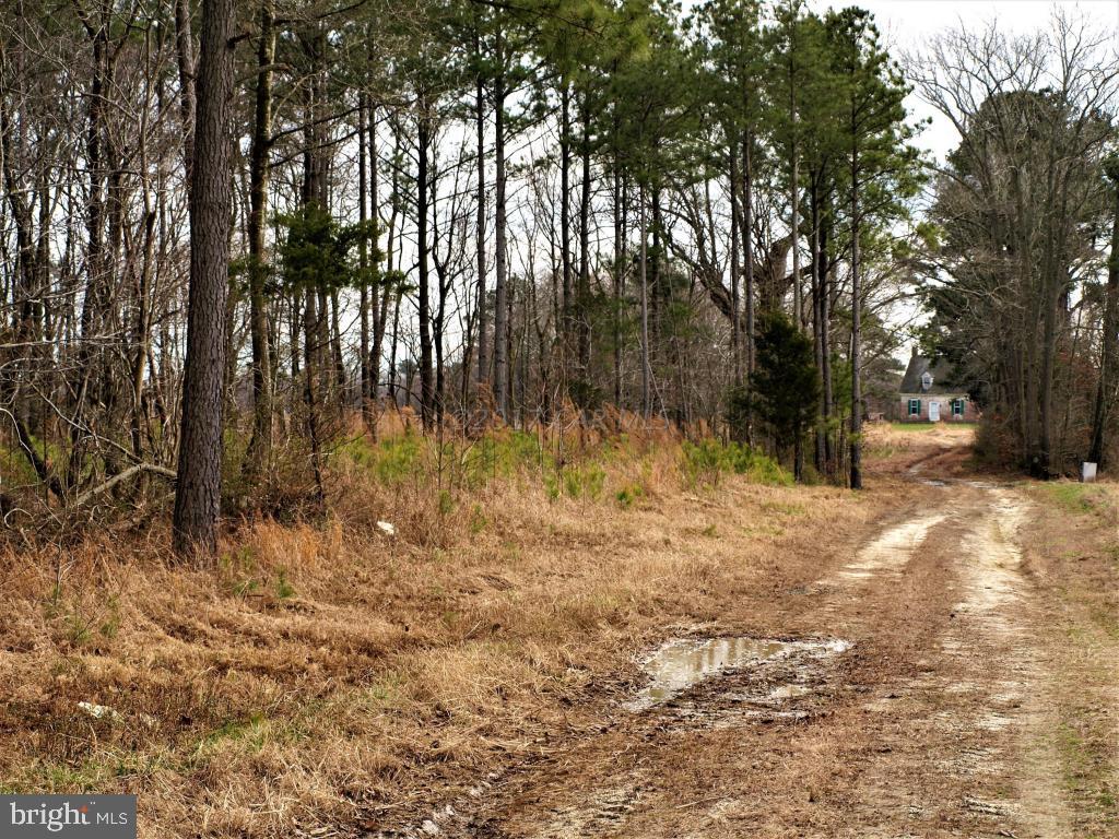 31669 Perryhawkin Road Princess Anne, MD 21853 - Photo 3 of 11