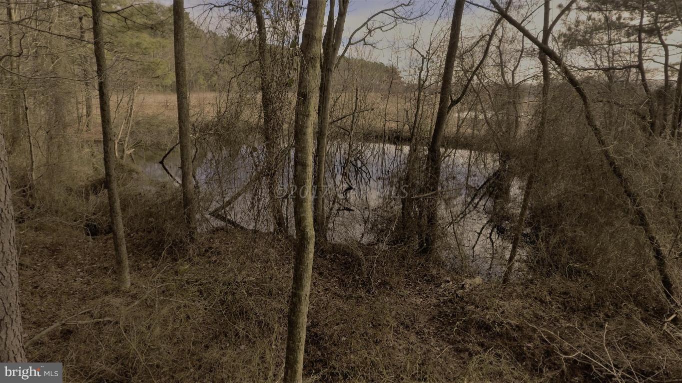 31669 Perryhawkin Road Princess Anne, MD 21853 - Photo 8 of 11