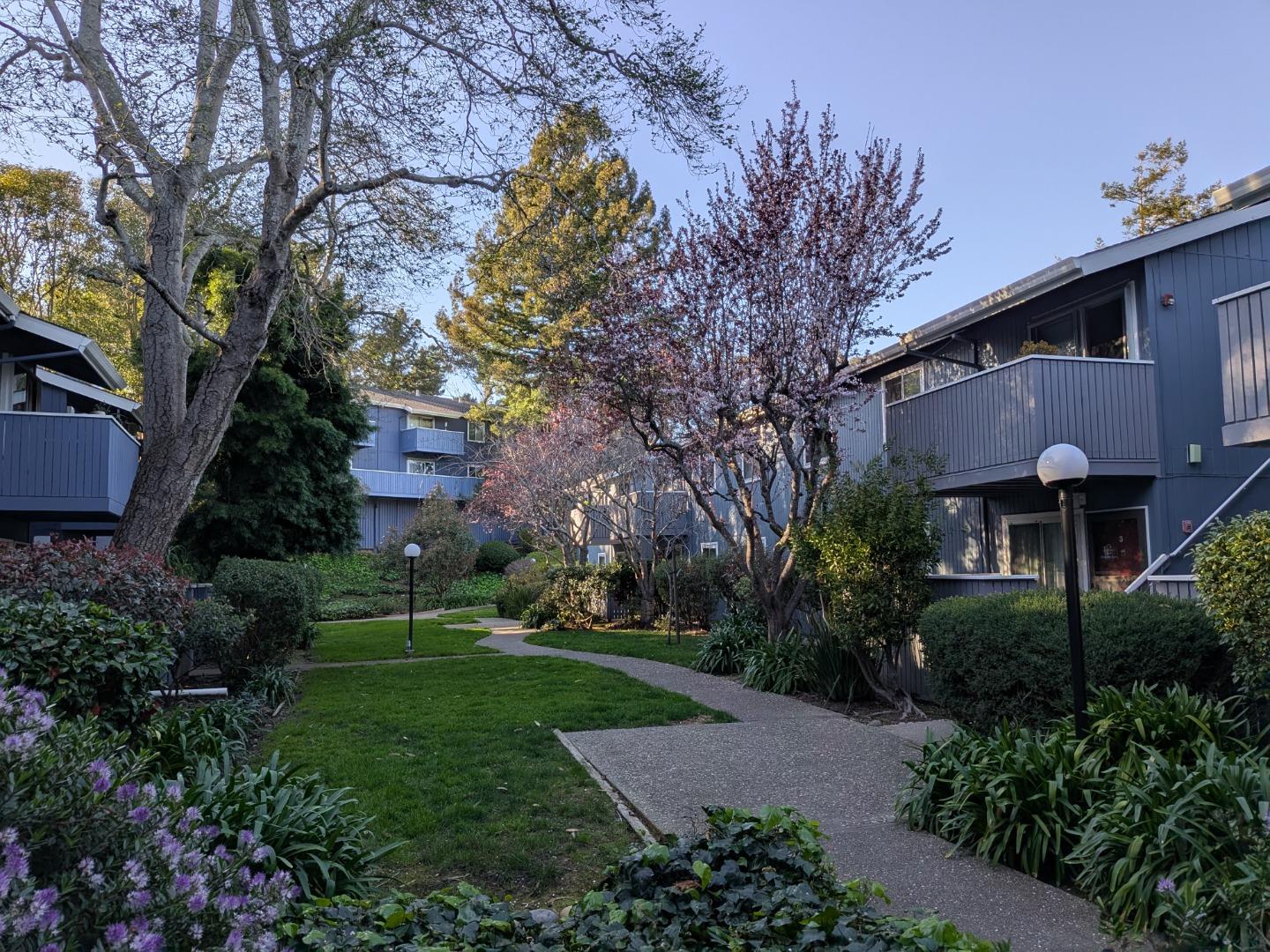 413 Piccadilly Place, Unit 13 San Bruno, CA 94066 - Photo 10 of 21