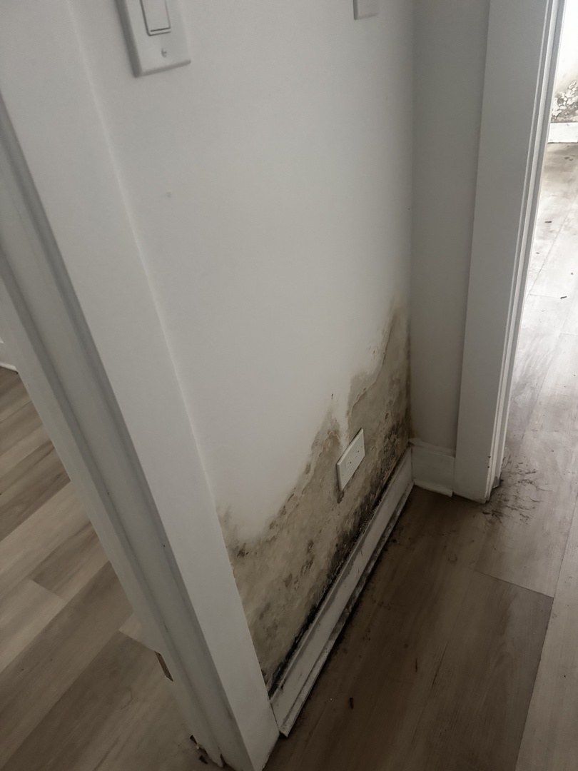 430 East 46th Street Chicago, IL 60653 - Photo 22 of 28