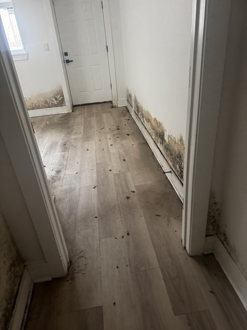 430 East 46th Street Chicago, IL 60653 - Photo 23 of 28