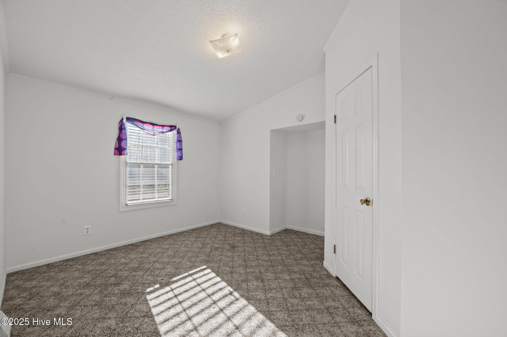 42 Low Tide Road Bath, NC 27808 - Photo 22 of 47 39-web-or-mls-LHV_6500