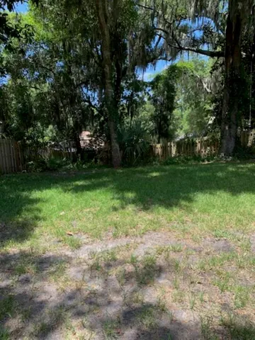 a view of a trees in a yard
