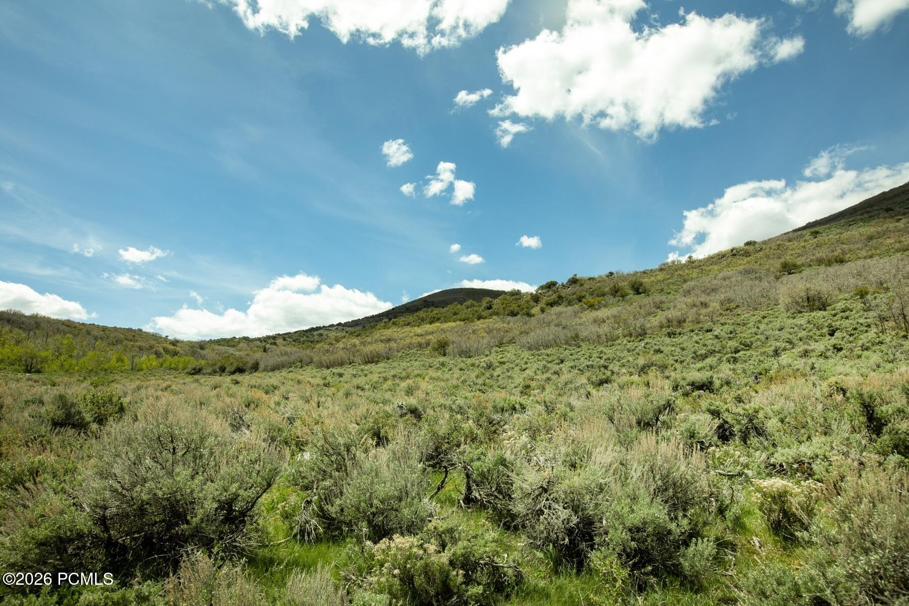 1646 North Miles Holw Road Kamas, UT 84036 - Photo 19 of 35