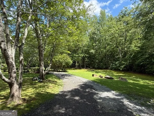 a view of a trees with a yard