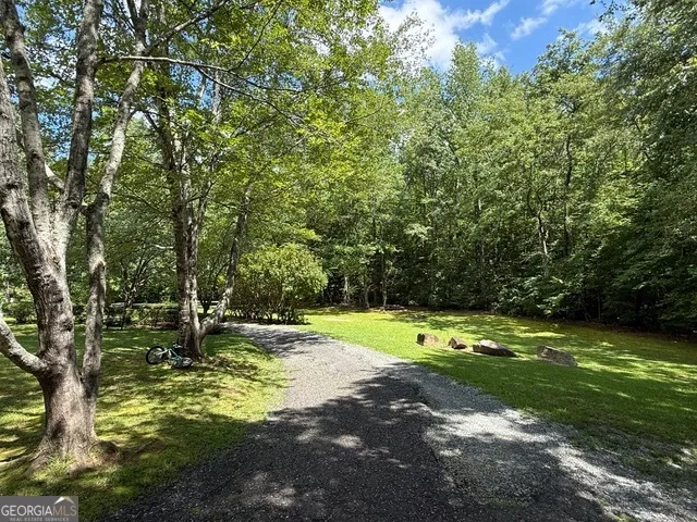 a view of a trees with a yard