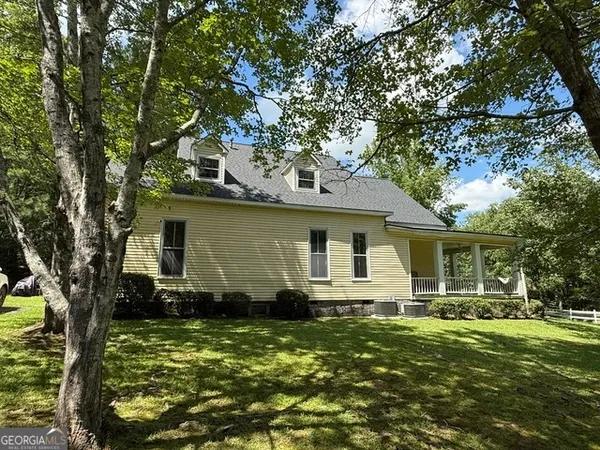 a view of a backyard with plants and large trees