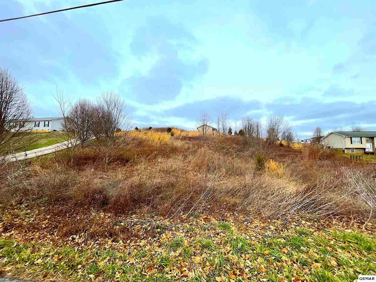 10 Ebenezer Road Chuckey, TN 37641 - Photo 4 of 7
