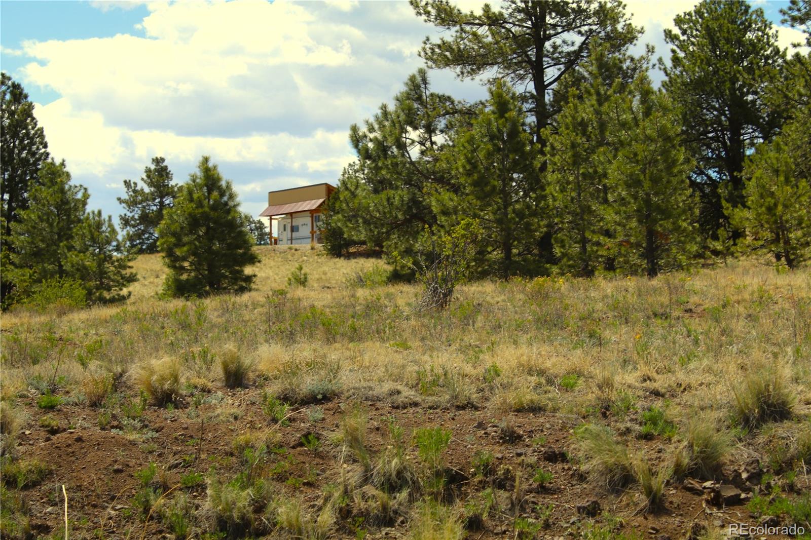 60 Hill Road Hartsel, CO 80449 - Photo 3 of 15