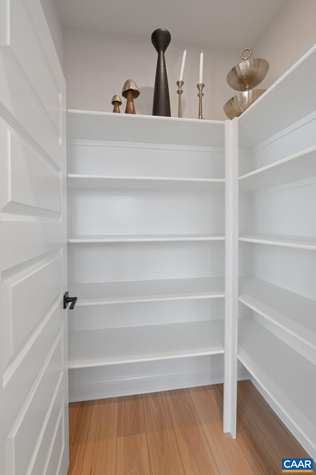 2215 Woodburn Road Charlottesville, VA 22901 - Photo 15 of 32 a close view of closet