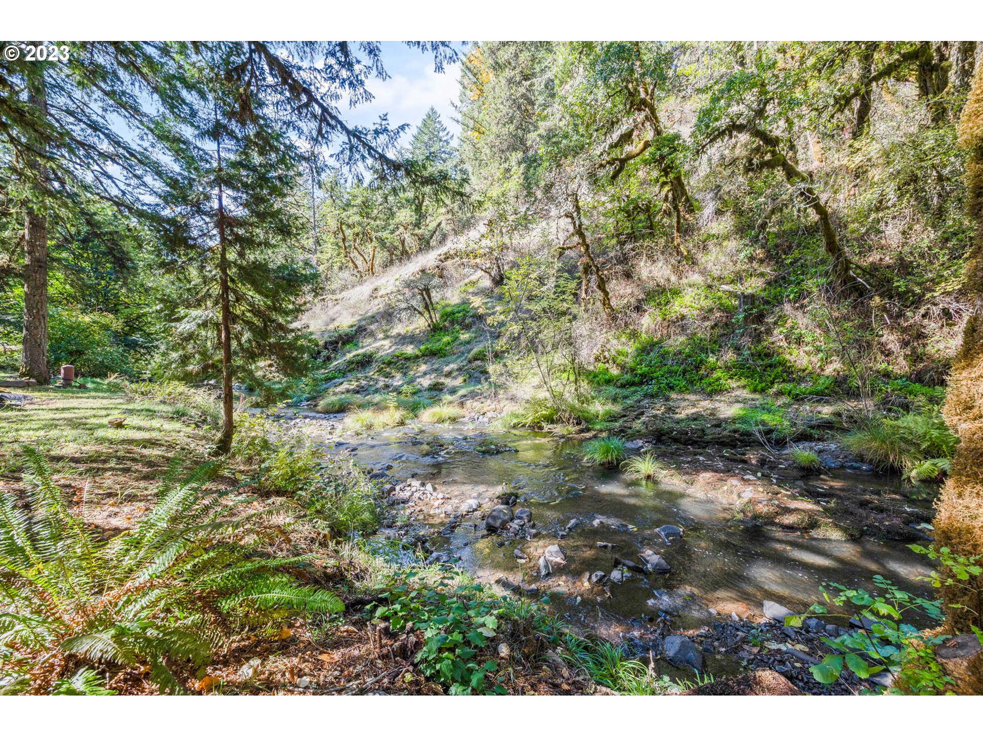 37693 Hills Creek Road Springfield, OR 97478 - Photo 42 of 48 a view of a yard with a tree