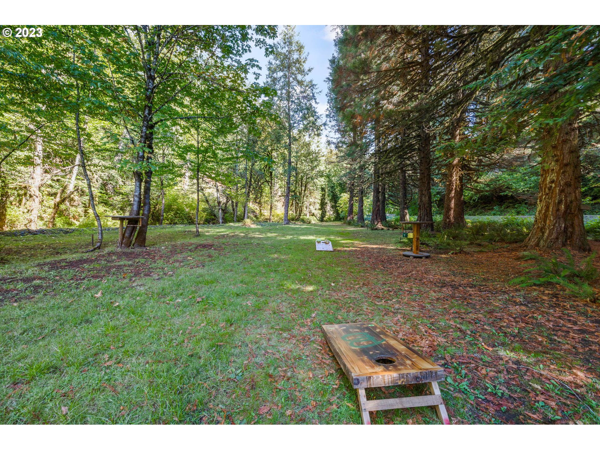 37693 Hills Creek Road Springfield, OR 97478 - Photo 44 of 48 a backyard of a house with lots of green space