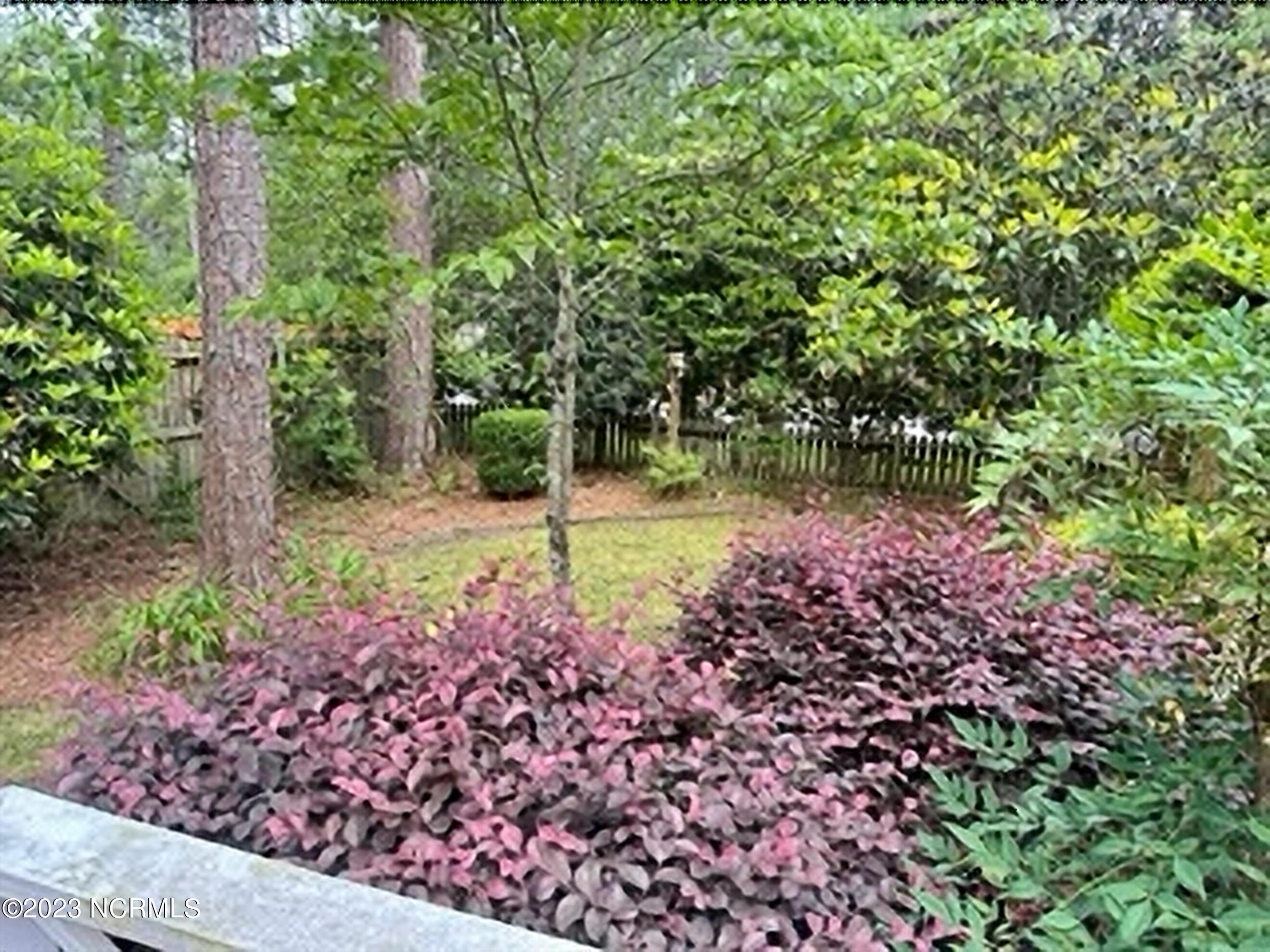 327 Thorne Road Pinehurst, NC 28374 - Photo 5 of 25 backyard1