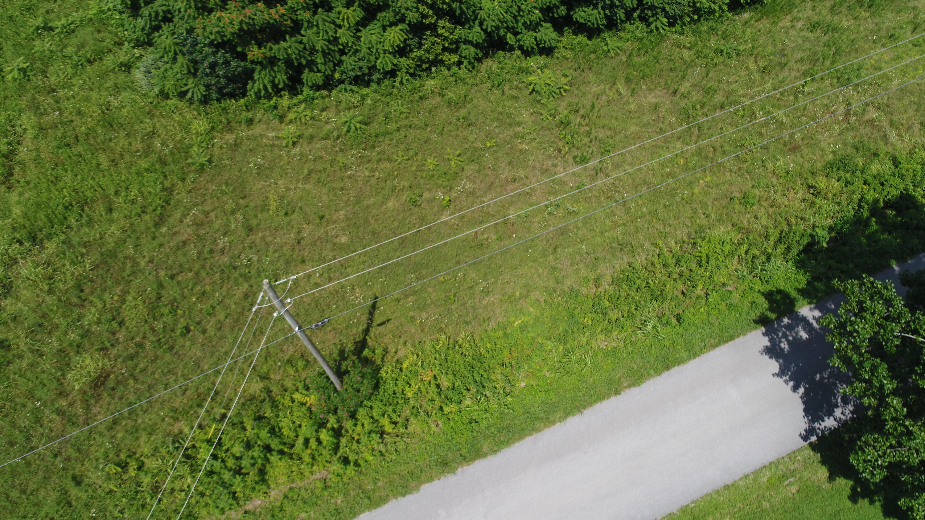 2 Pointer Creek Road Nancy, KY 42544 - Photo 5 of 13 DJI_0436