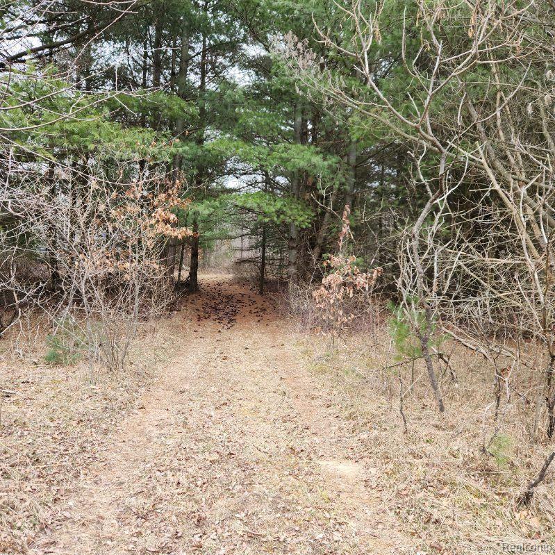1609 South State Road Omer, MI 48749 - Photo 28 of 30 Gallery Image 28
