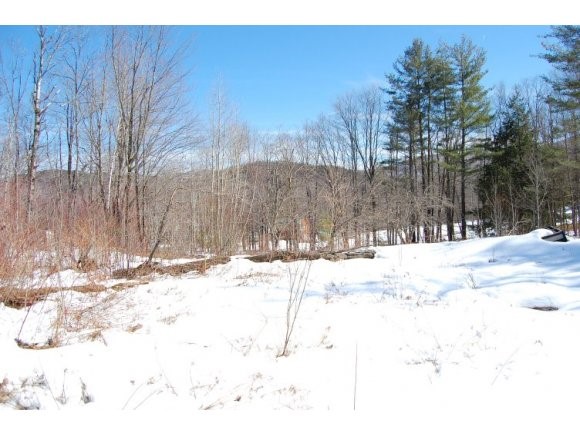 892 Smead Road Wardsboro, VT 05360 - Photo 1 of 1
