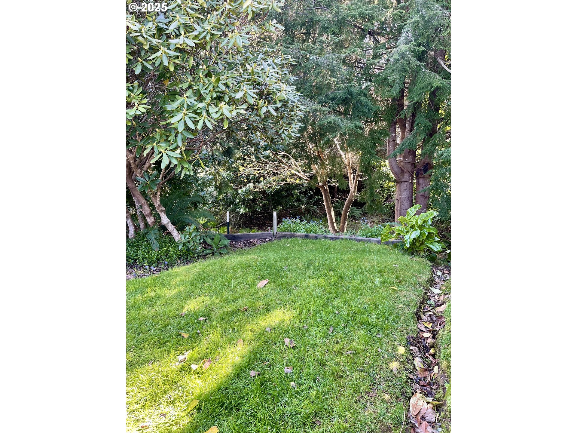 850 View Street Reedsport, OR 97467 - Photo 5 of 30 Gallery Image 5