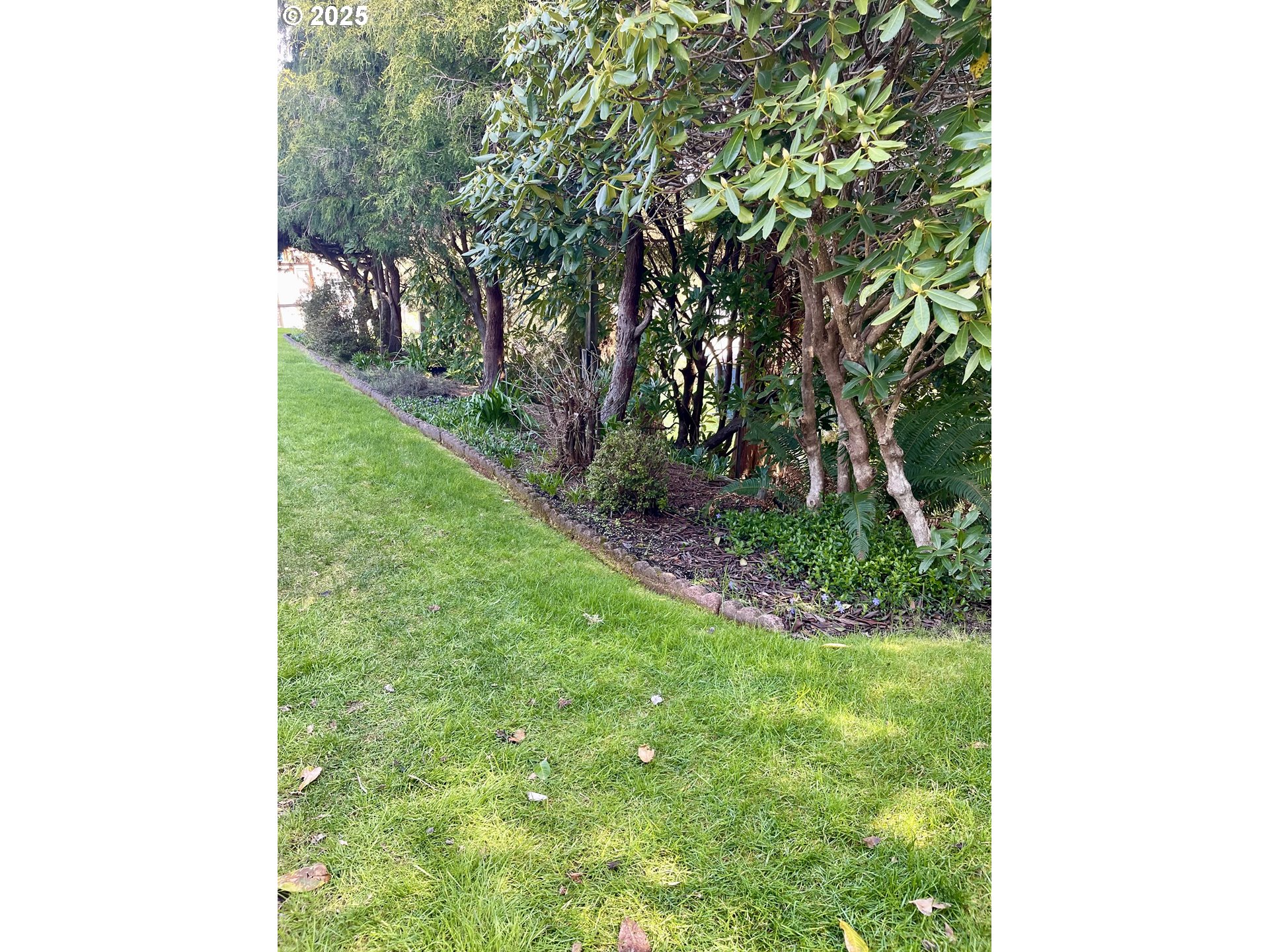 850 View Street Reedsport, OR 97467 - Photo 6 of 30 Gallery Image 6